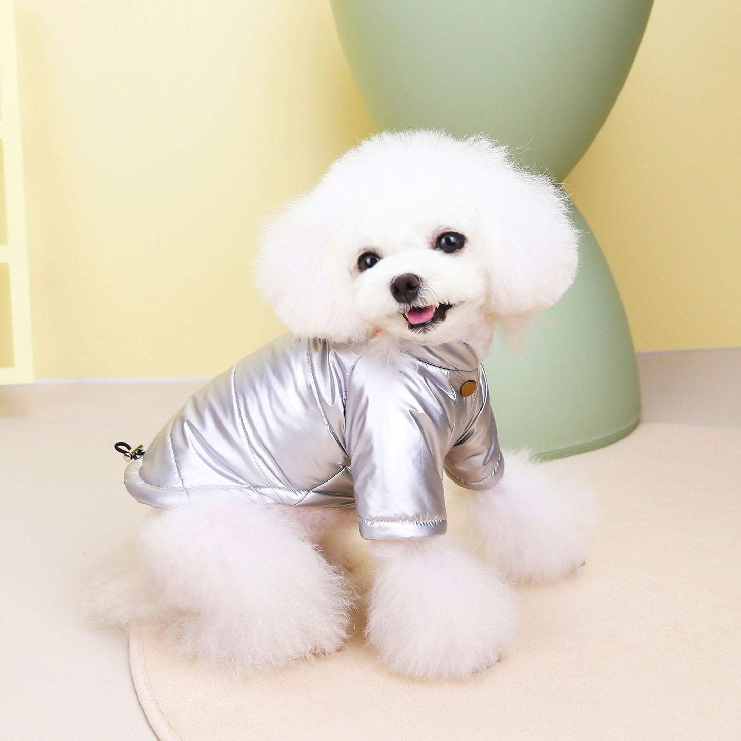 Metallic Dog Jacket – Winter-Ready & Fashion-Forward ✨🐾