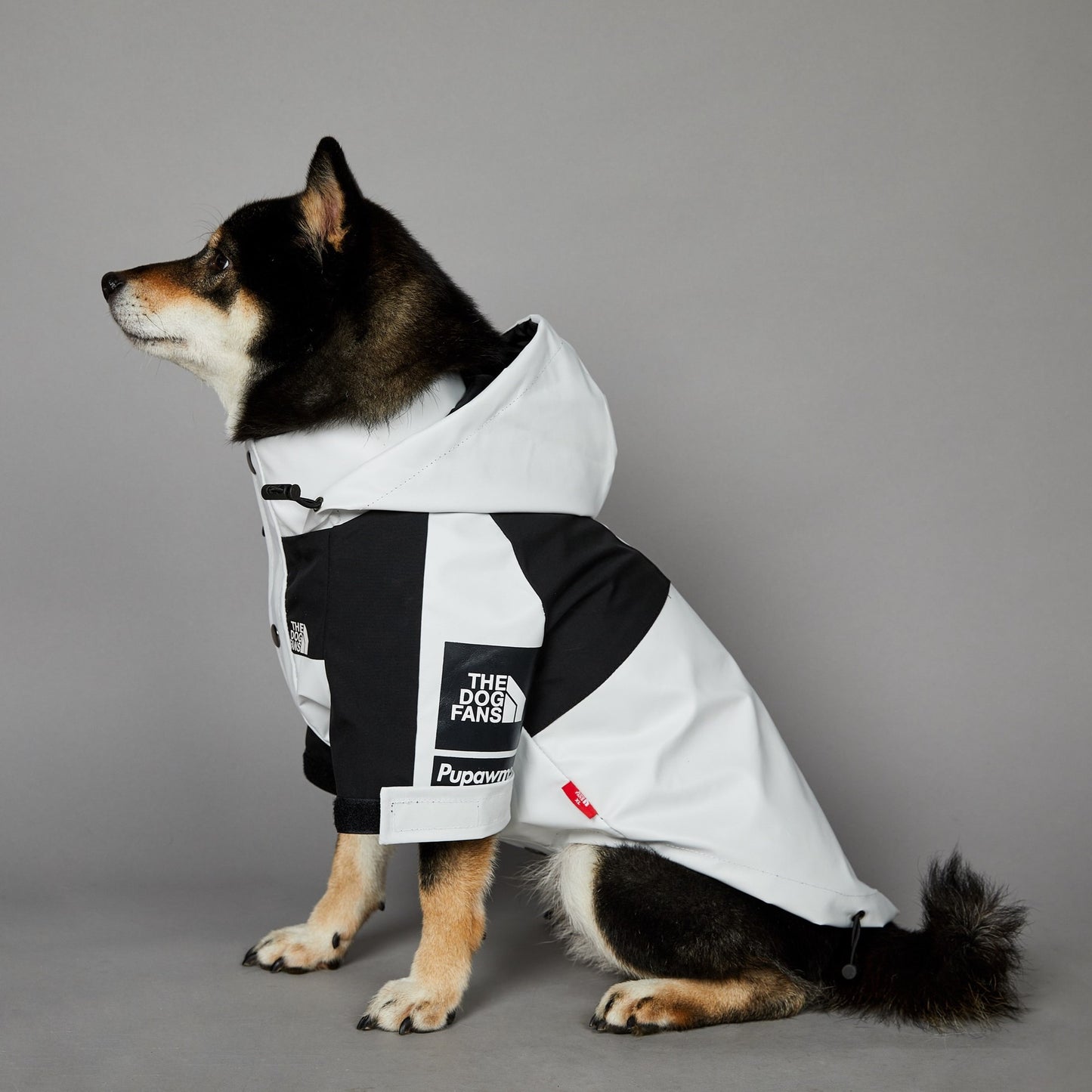 Streetwear-Inspired Dog Jacket – Winter-Ready Style for Your Pup 🐾