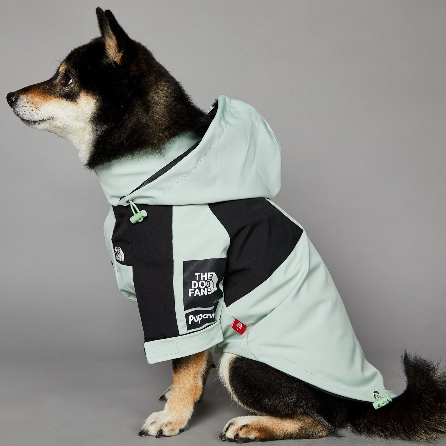 Streetwear-Inspired Dog Jacket – Winter-Ready Style for Your Pup 🐾