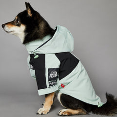 Streetwear-Inspired Dog Jacket – Winter-Ready Style for Your Pup 🐾