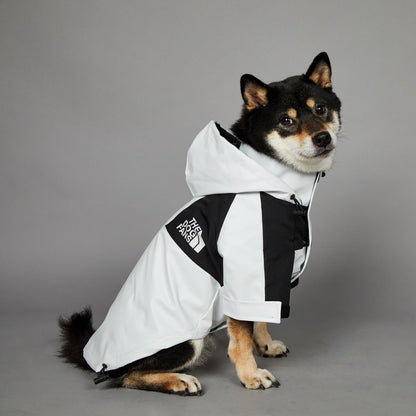 Streetwear-Inspired Dog Jacket – Winter-Ready Style for Your Pup 🐾