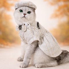 Elegant Tweed Cat Outfit – Chic Set with Hat & Bow Tie for Stylish Pets 🐾💎