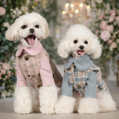 Vest Clothes Plus Velvet Warm Vest Small Dogs Cats Dogs Cotton-padded Clothes