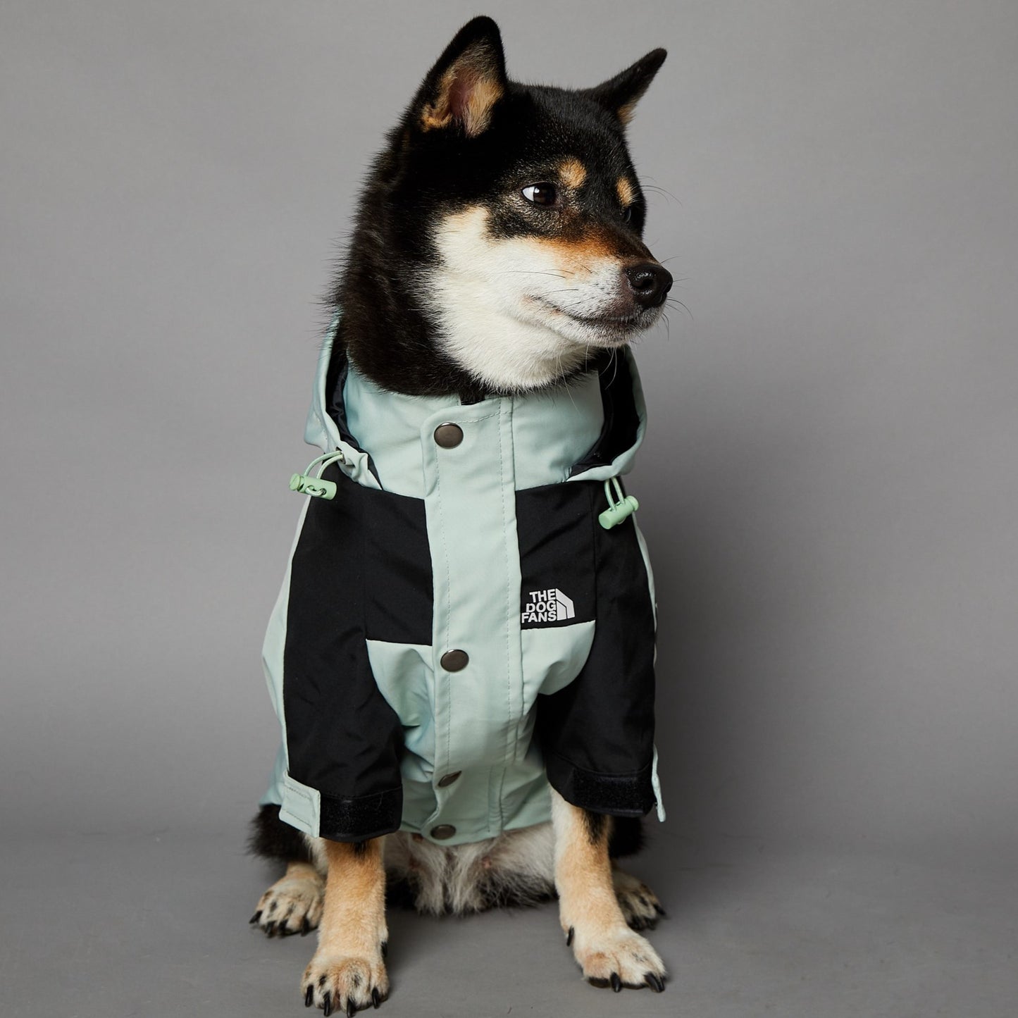 Streetwear-Inspired Dog Jacket – Winter-Ready Style for Your Pup 🐾