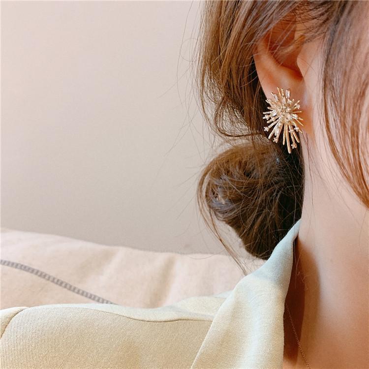 ✨ Fireworks Zircon Stud Earrings