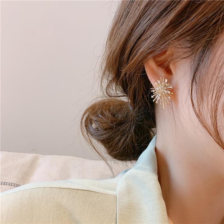 ✨ Fireworks Zircon Stud Earrings