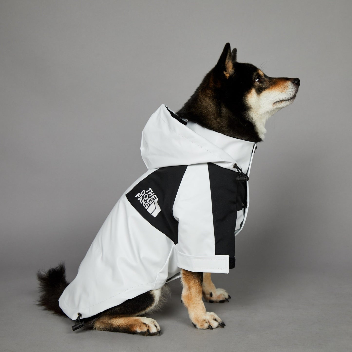Streetwear-Inspired Dog Jacket – Winter-Ready Style for Your Pup 🐾