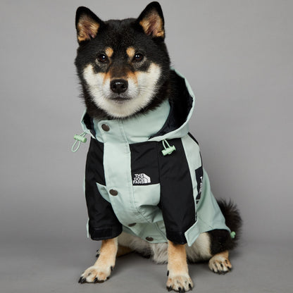 Streetwear-Inspired Dog Jacket – Winter-Ready Style for Your Pup 🐾