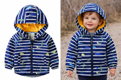 Boys Padded Jacket, Baby Jacket, Cartoon Animal Hoodie