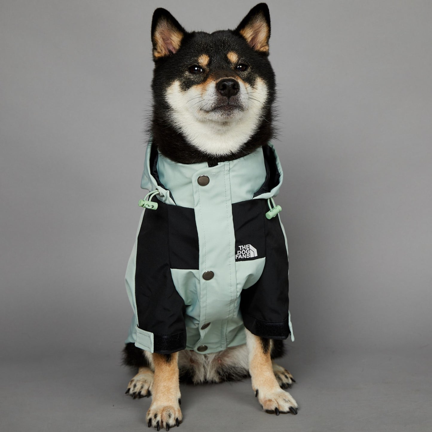 Streetwear-Inspired Dog Jacket – Winter-Ready Style for Your Pup 🐾