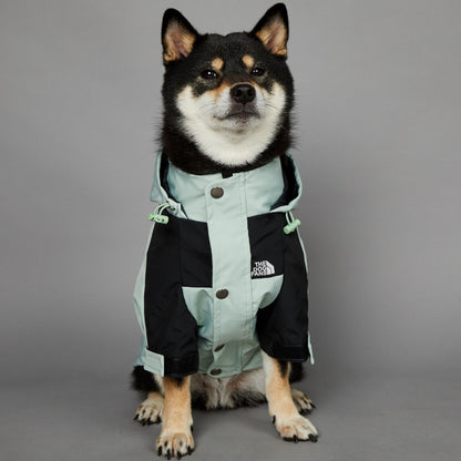 Streetwear-Inspired Dog Jacket – Winter-Ready Style for Your Pup 🐾