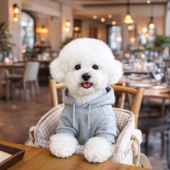 Light Dog Hoodie – Comfy, Cute & Perfect for Chilly Days 🐶🧥