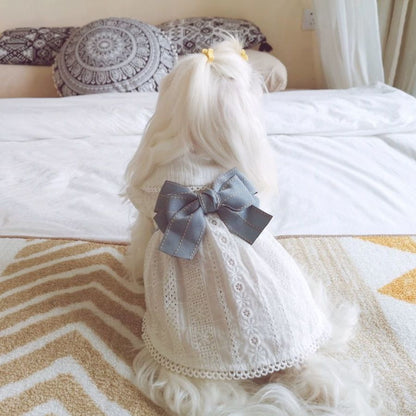 Summer Pet Cotton Little White Dress