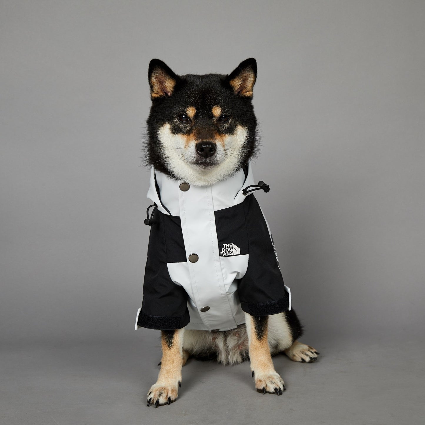 Streetwear-Inspired Dog Jacket – Winter-Ready Style for Your Pup 🐾