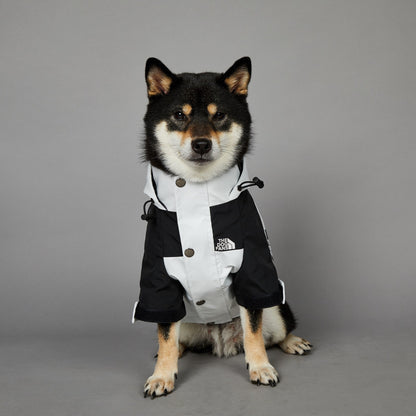 Streetwear-Inspired Dog Jacket – Winter-Ready Style for Your Pup 🐾