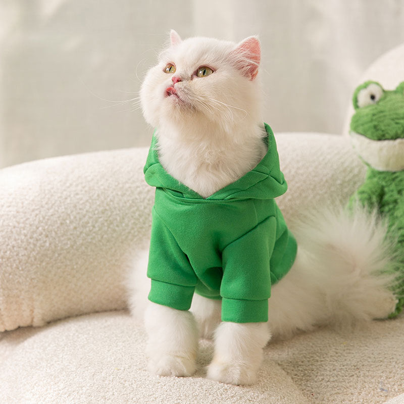 Frog Hoodie for Cats – Comfy & Cute Costume for Your Little Jumper 🐸💚