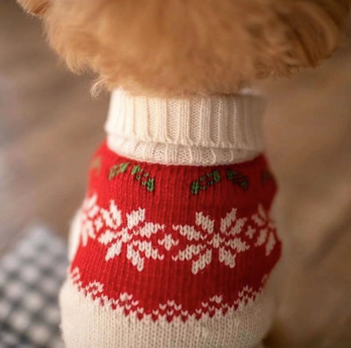 Christmas Dog Outfit – Festive Red & Green Set for Holiday Cheer 🎅🐾