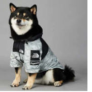 Streetwear-Inspired Dog Jacket – Winter-Ready Style for Your Pup 🐾