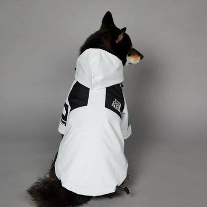 Streetwear-Inspired Dog Jacket – Winter-Ready Style for Your Pup 🐾