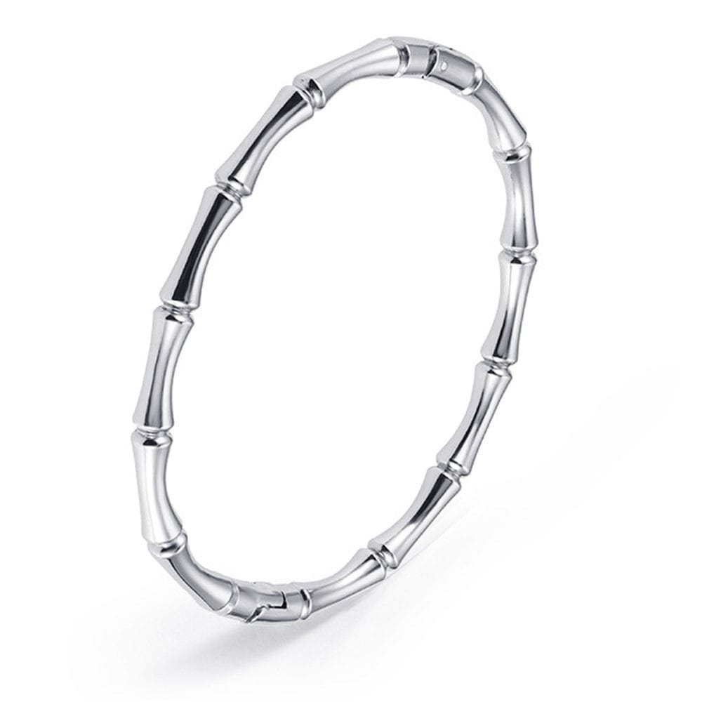 ✨ Light Luxury Stainless Steel Charm Bracelet Collection