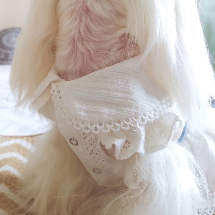 Summer Pet Cotton Little White Dress